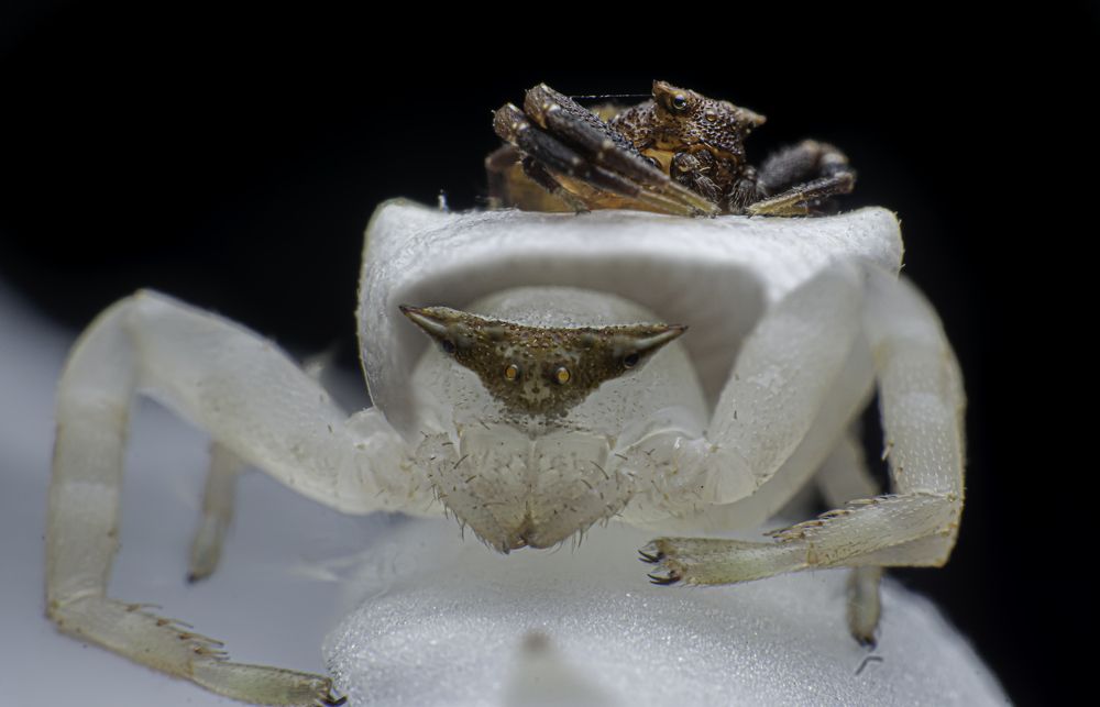 Photograph by Pramod Naween Padmananda