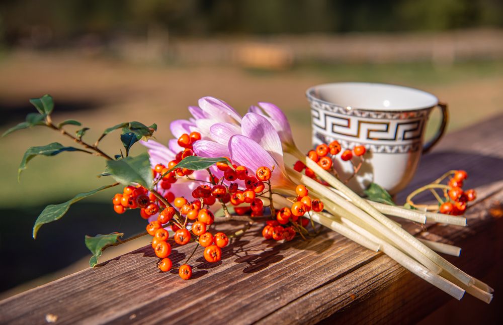 Photograph by Юрий Киреичев