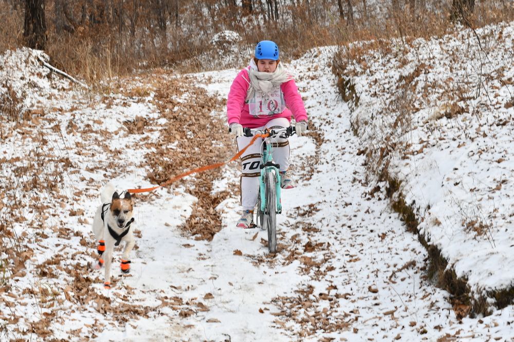 Photograph by иван подшивалов