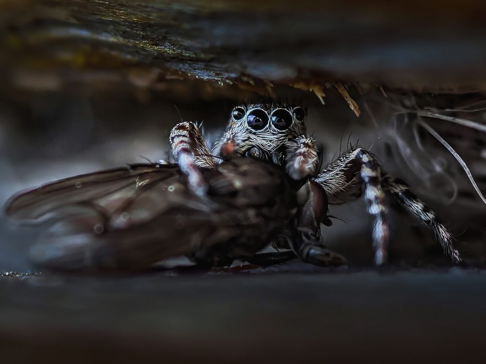 Photograph by Дмитрий Кузнецов