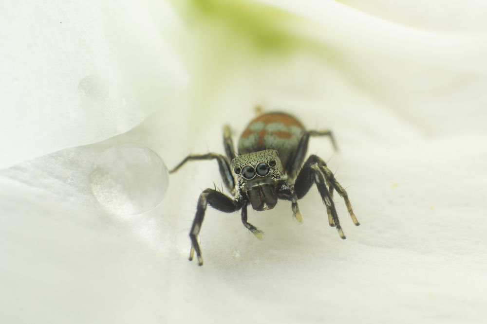 Photograph by Pramod Naween Padmananda