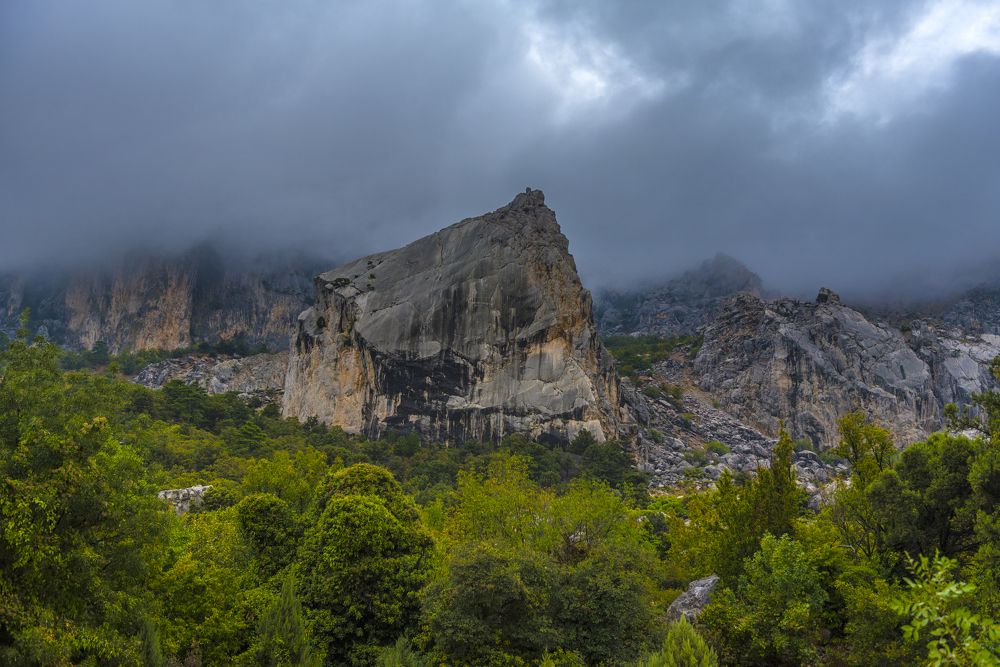 Photograph by Анна Кривицкая