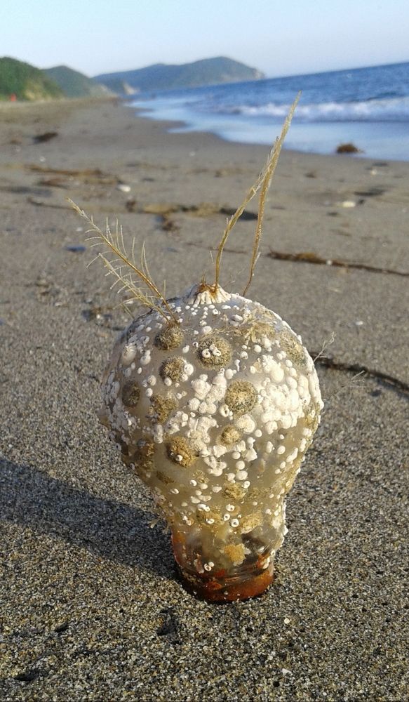 Photograph by Анастасия Деревянченко