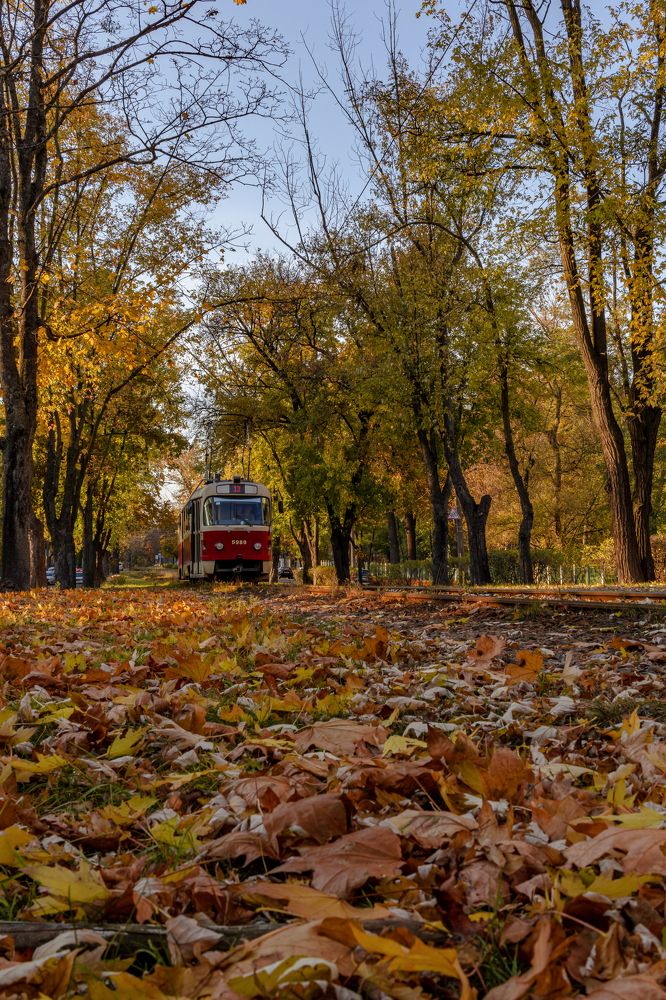 Photograph by Александр Бачурский