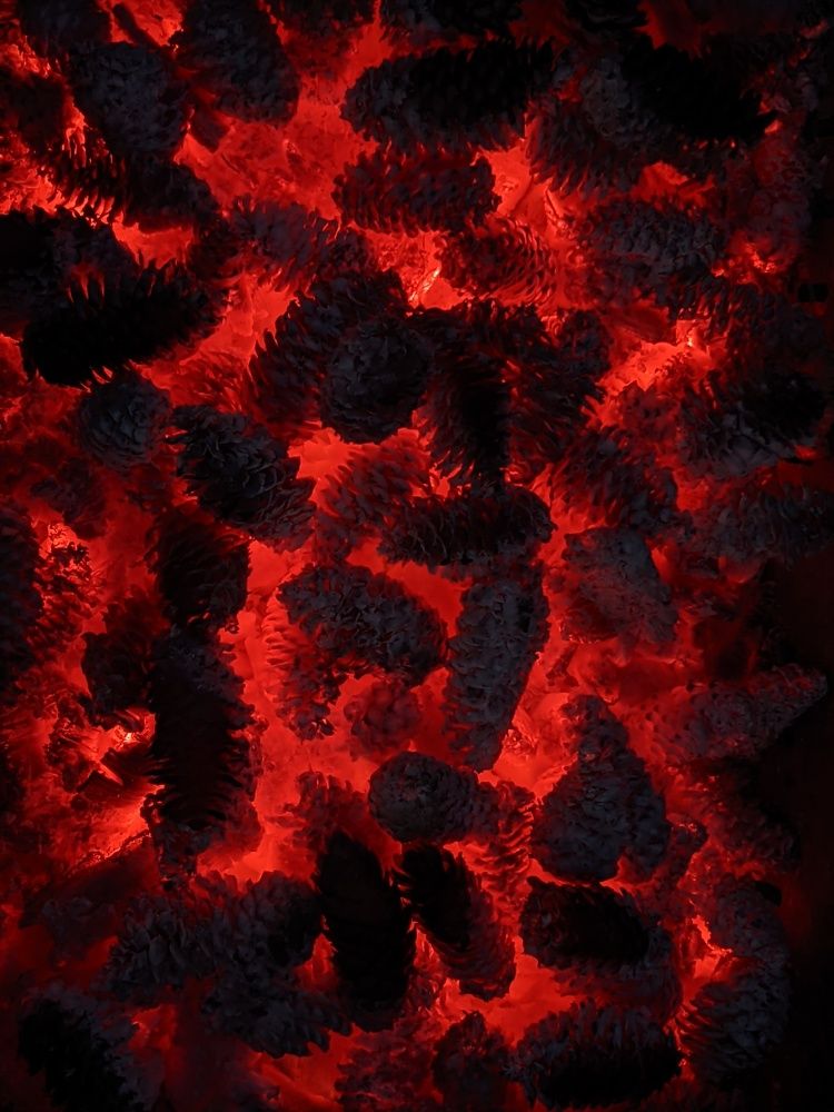 Photo #6604033