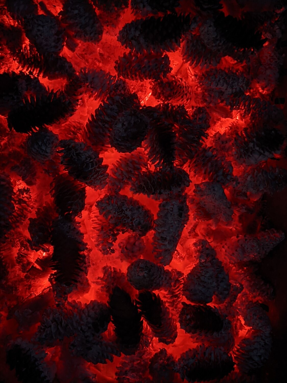 Photo #6604033