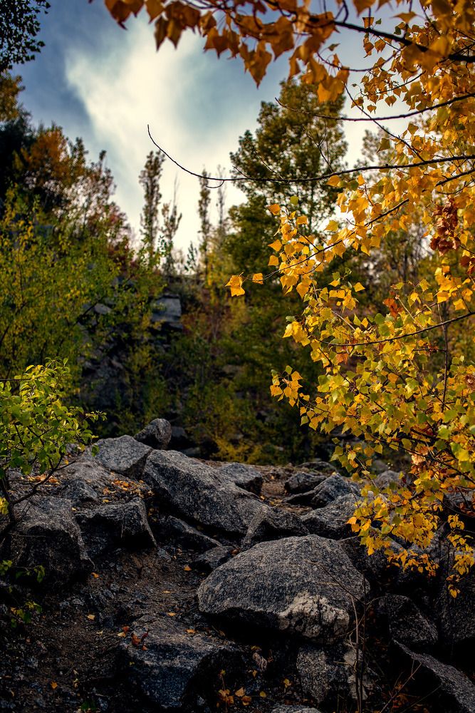 Осень пришла