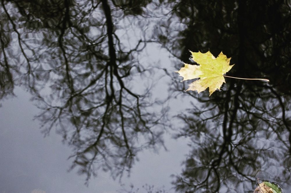 Photograph by Елена Сушкова