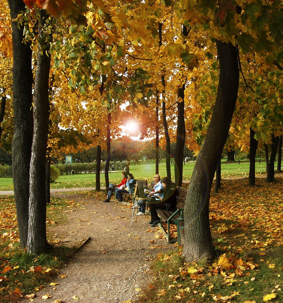 Photograph by Елена Сушкова