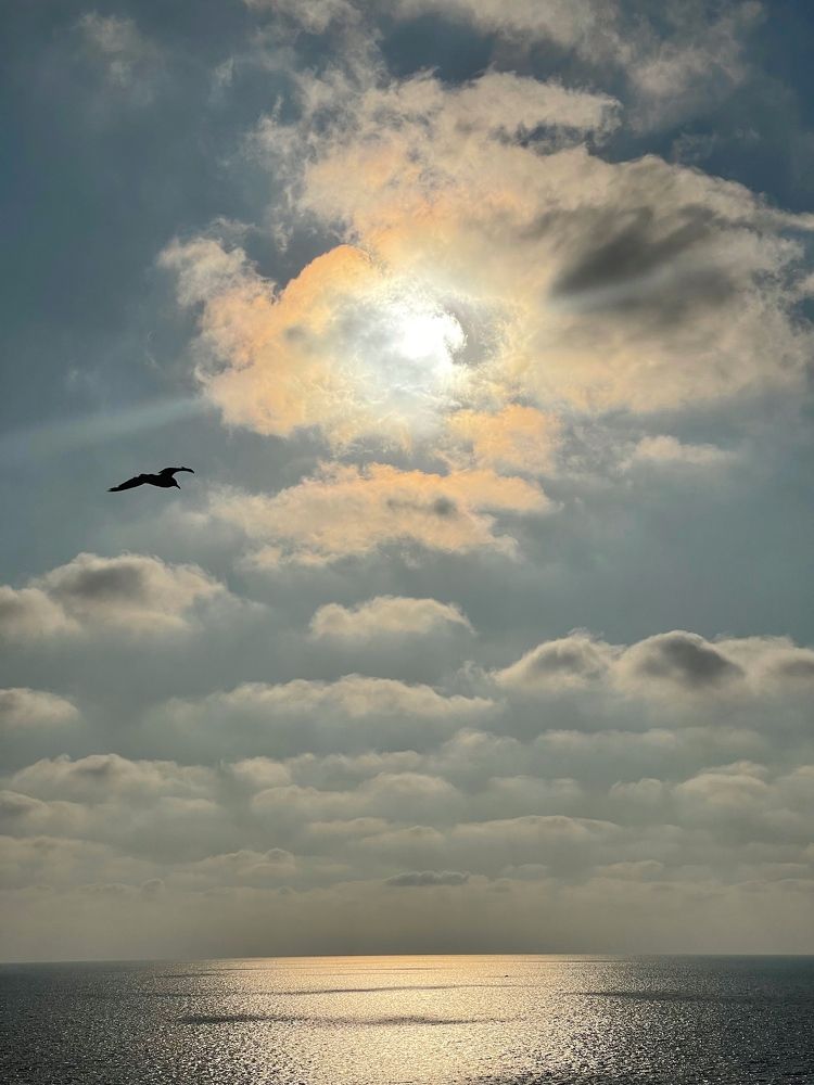 Photograph by Елена Сушкова