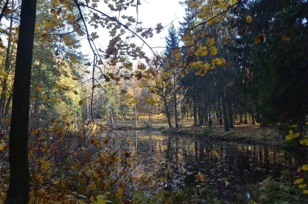 Photograph by Игорь Лизунков
