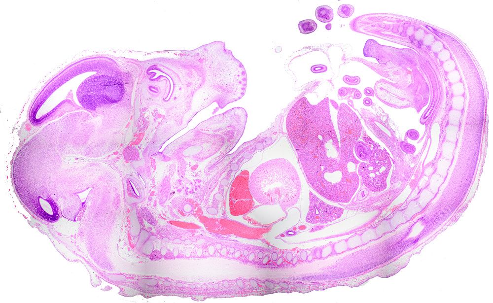 Photograph by Владимир Корчемкин