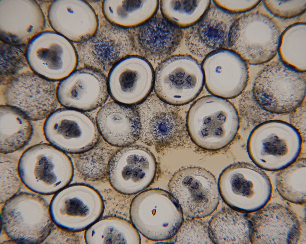 Photograph by Владимир Корчемкин