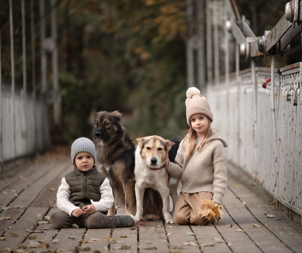 Photograph by Ирина Моисеенко