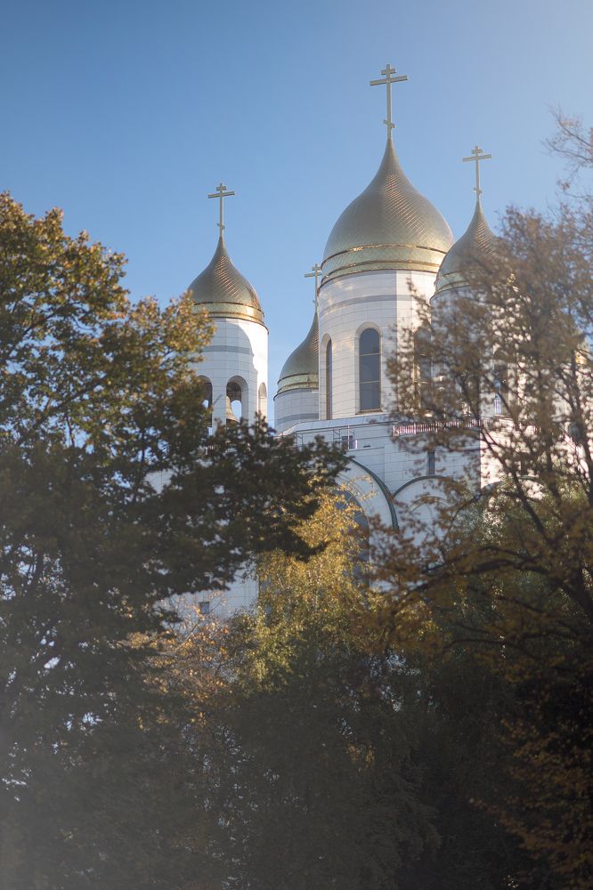 Фотография автора Дмитрий Ляшеев