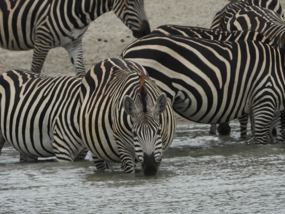 Photograph by Марина Осипова