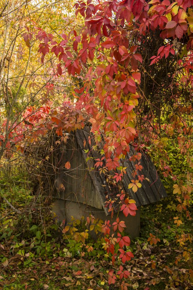 Photograph by Михаил Строев