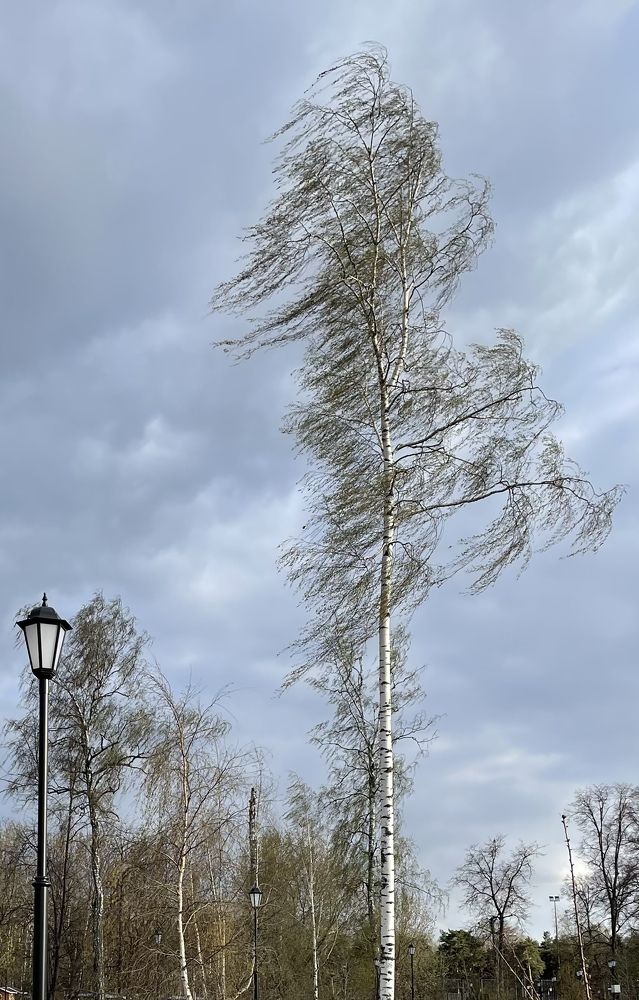 Photograph by Елена Сушкова
