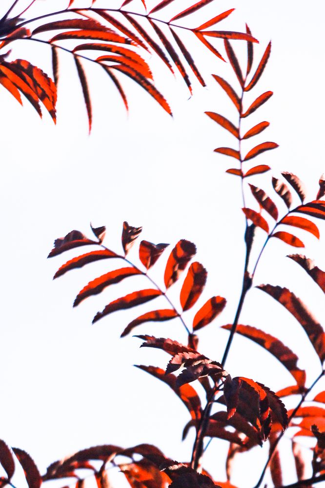 Photograph by Evgeniya Gribova