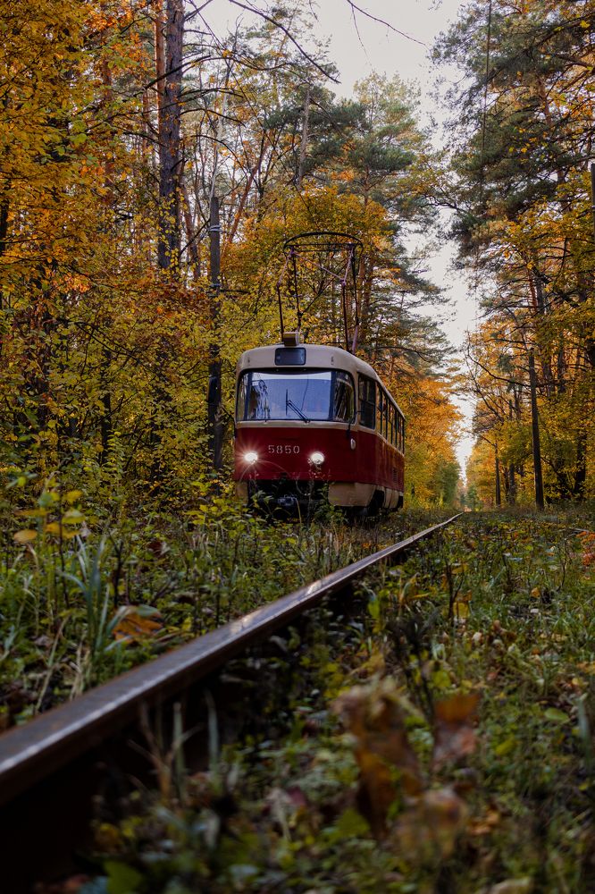 Photograph by Александр Бачурский