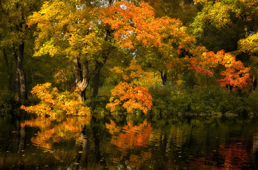 Осенняя акварель