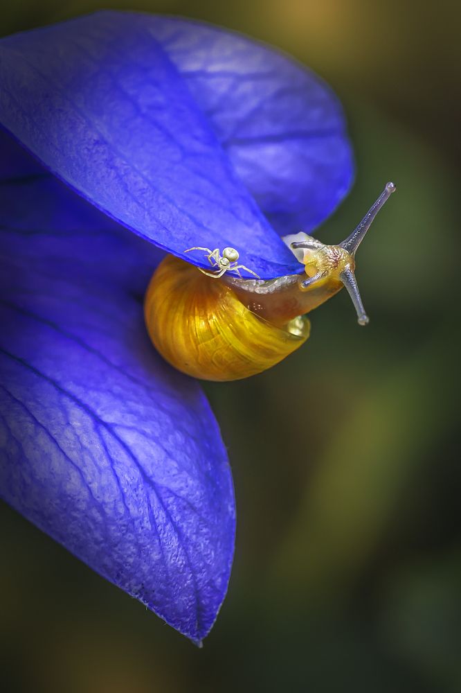 Поиграем вместе?