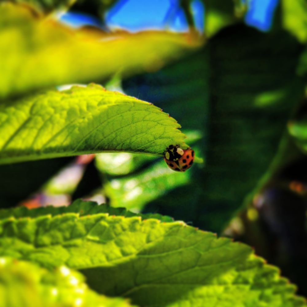 Фотография автора Svetlana Tsvetanova