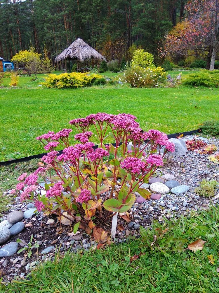 Осень в Ботаническом саду