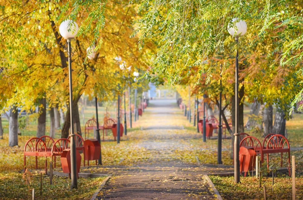 Photograph by Светлана Болотнова