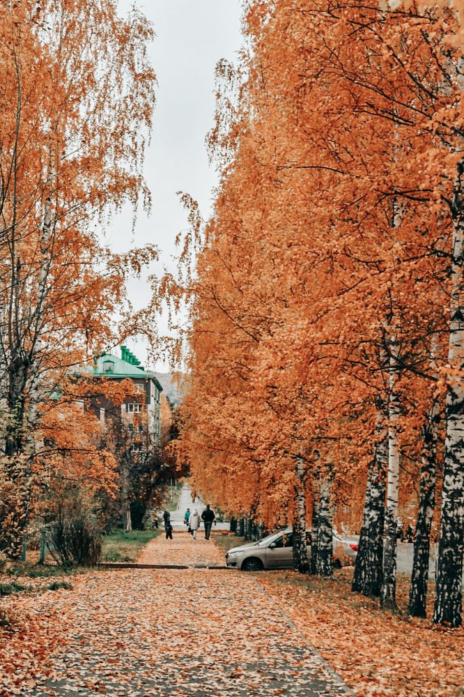 Photograph by Валерия Бердникова