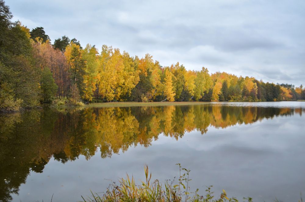 Photograph by Светлана Болотнова