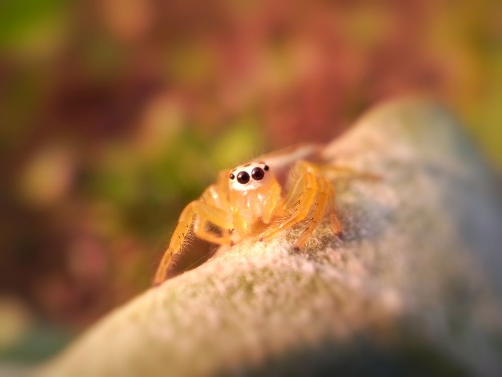 Photograph by Hossain Khan Nayeem