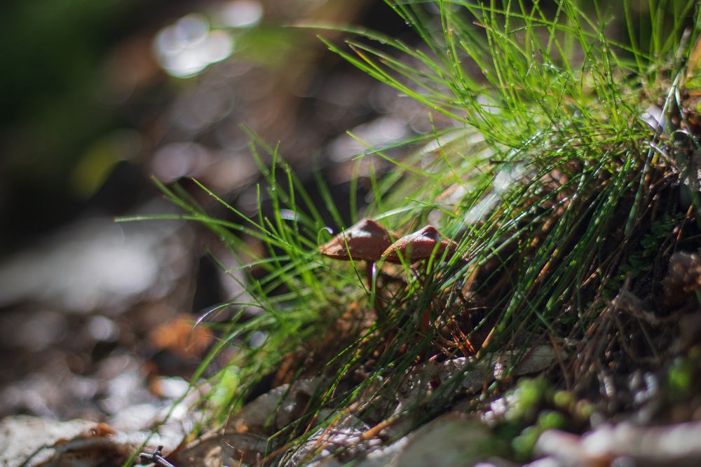 Photograph by Анастасия Гасанова