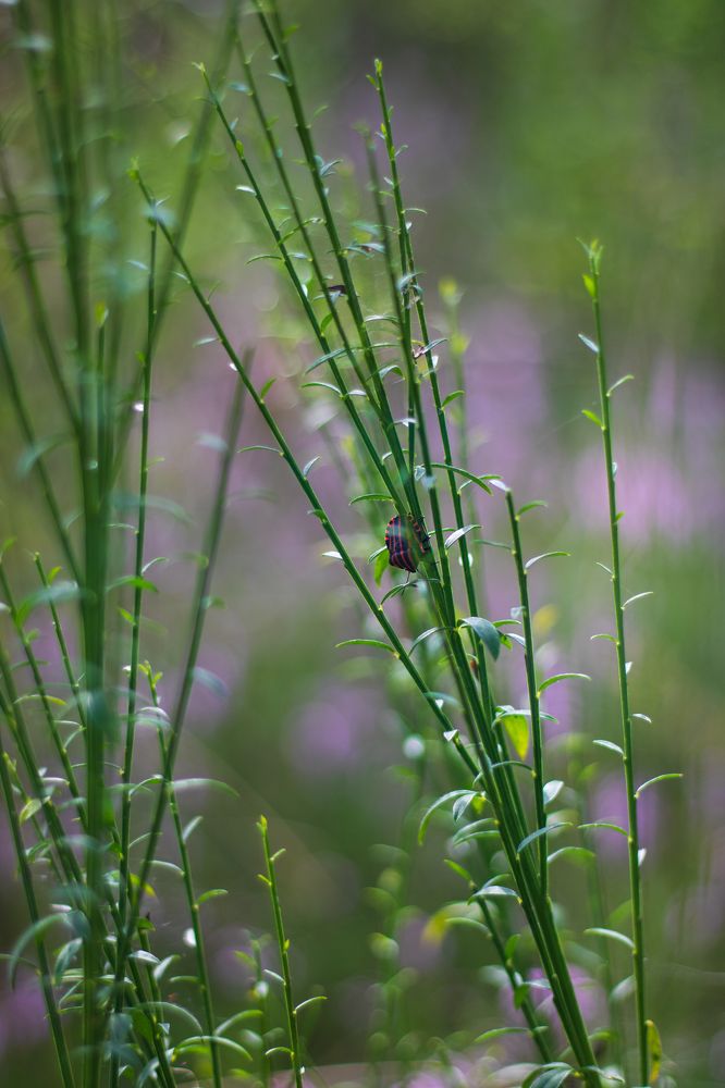 Photograph by Анастасия Гасанова