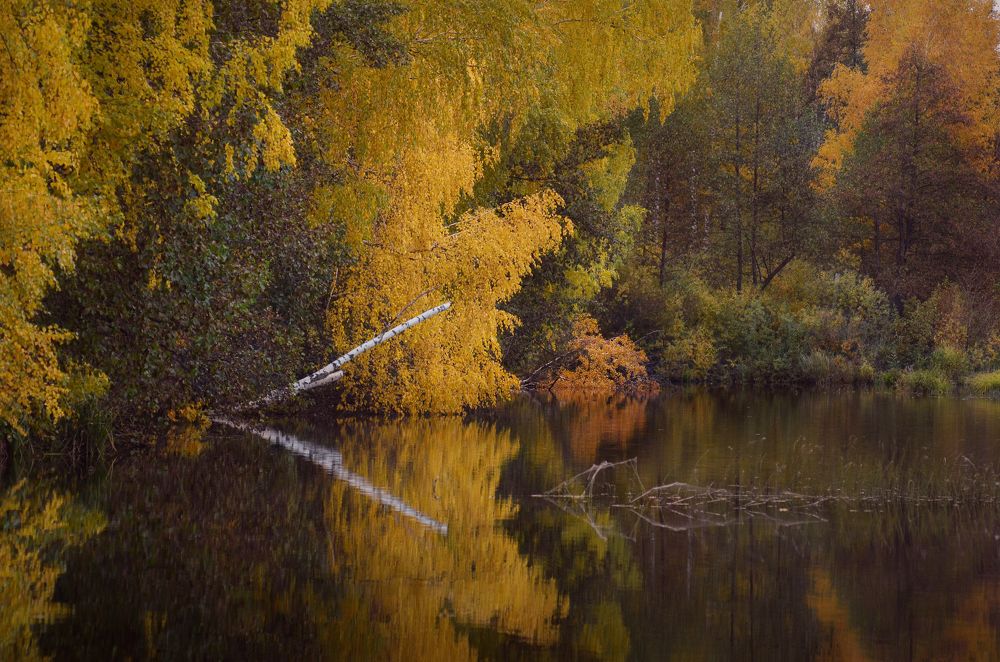 Photograph by Светлана Болотнова