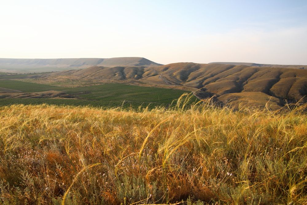 Photograph by Леонид Панасюк