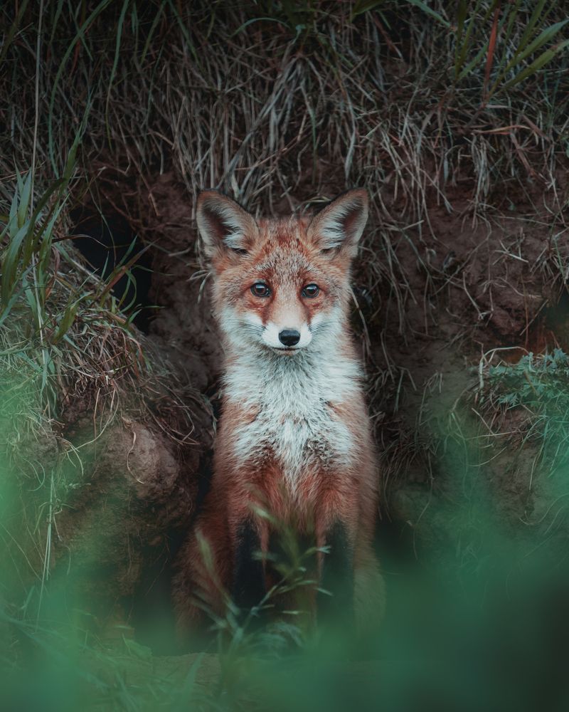 Фотография автора Pavel Reshetov