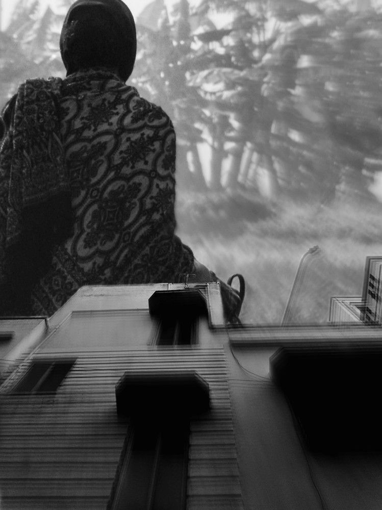 Photo #6604474