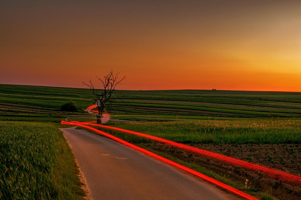 Photograph by Tomasz Szczesny