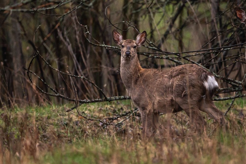 Photograph by Александр Щербаков
