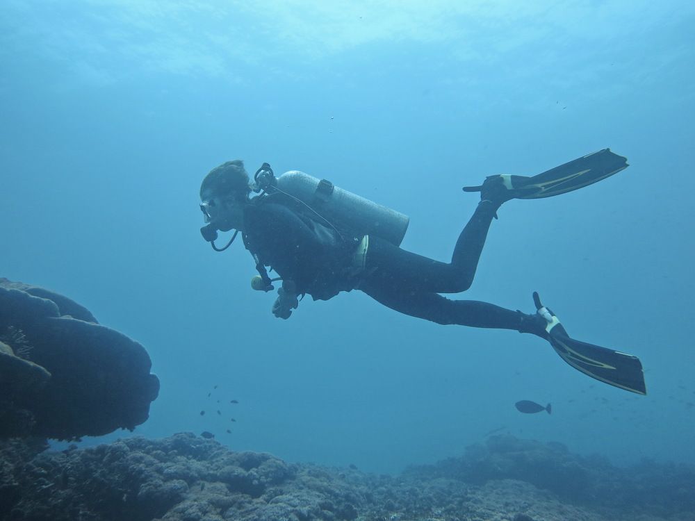 Photograph by Tatiana Serova