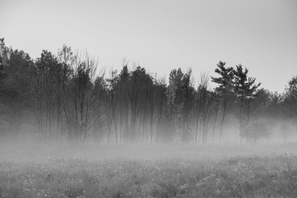 Photograph by Greg Noakes