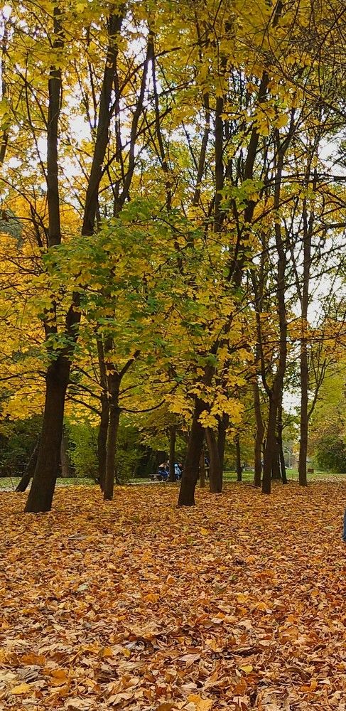 Фотография автора Svetlana Tsvetanova