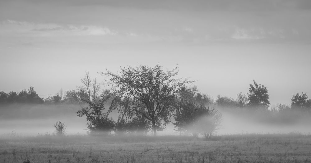 Photograph by Greg Noakes