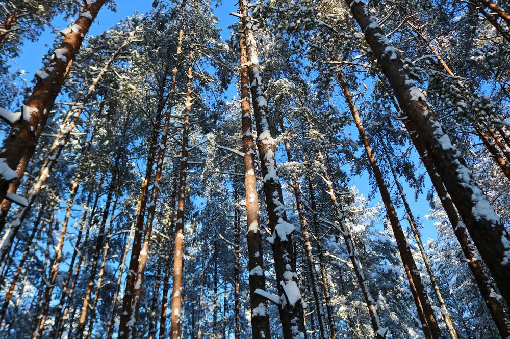 Photograph by Анастасия Гасанова