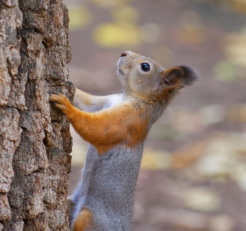 Photograph by  Alexey