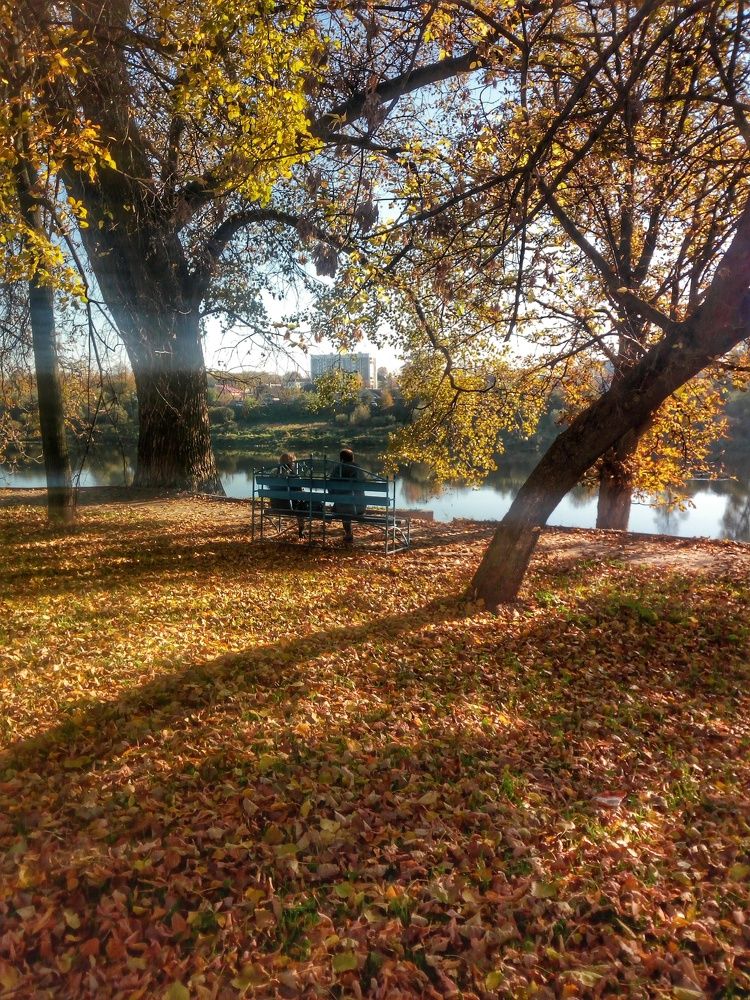 Photo #6604674
