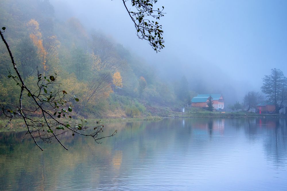 Photograph by Юрий Киреичев