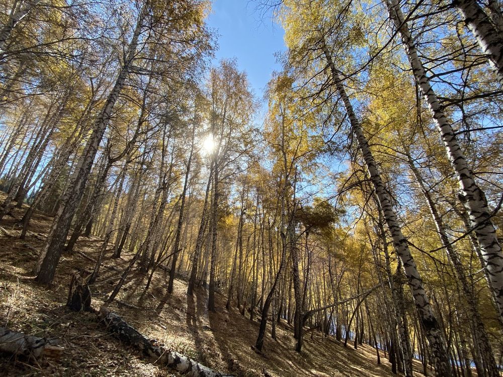 Краски осени