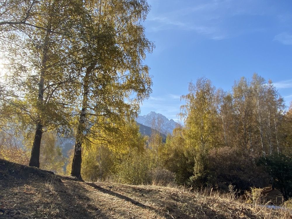 Photograph by Екатерина Вишнякова